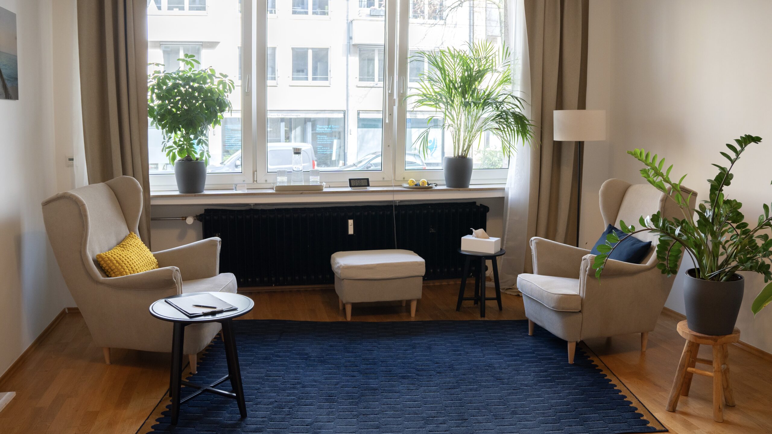 Psychotherapie in Düsseldorf - Therapieraum von Msc. Psychologe Igor Liberchuk Liber Therapie. 2 Stühle, heller Raum, Pflanzen, blauer Teppich